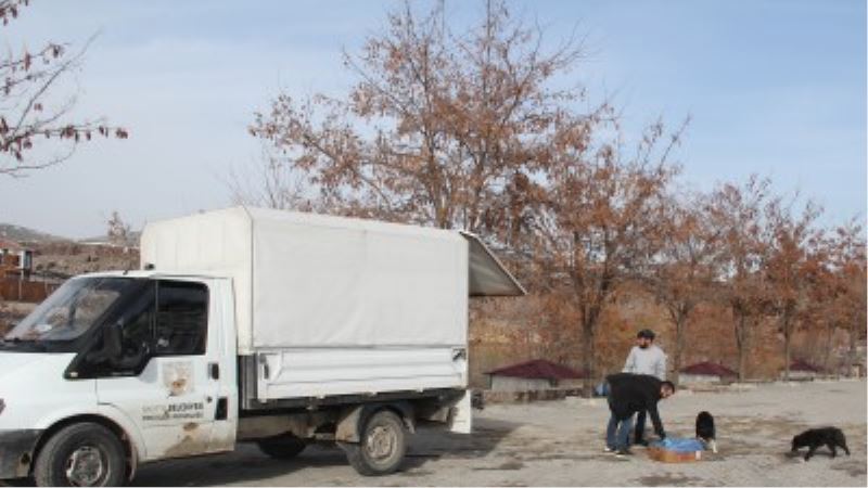 Hayvan Dostu İNCESU