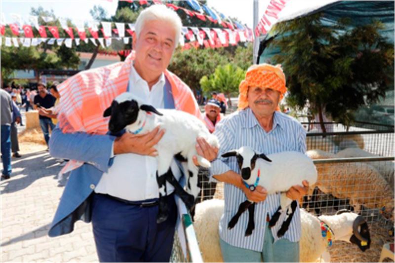 Kavunun “EN İYİSİ”, Koyunun “EN GÜZELİ” Ovacık