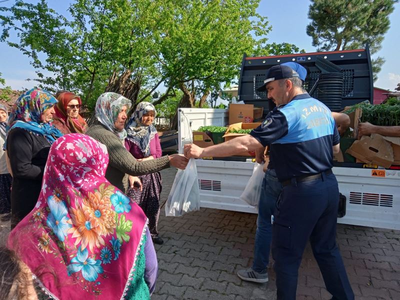 İZMİT BELEDİYESİ BİNLERCE KÖYLÜYE YÜZDE 100 HİBELİ FİDE DAĞITIYOR