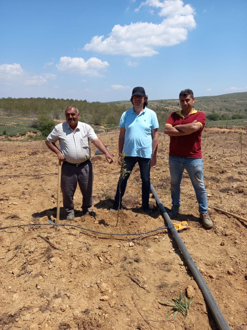 Nazillili üreticilerden Başkan Özcan’a tam not PİLOT BÖLGEDE ÇALIŞMALAR BAŞLADI