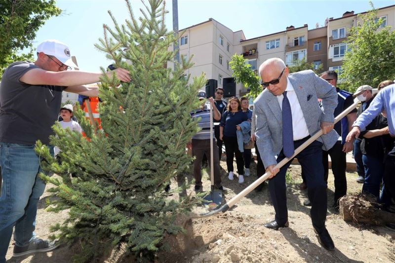 Yenimahalle’de Ağaç Dikim Töreni