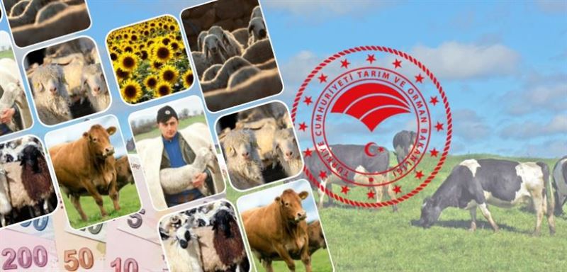 TARIM VE ORMAN BAKANLIĞI 1 MİLYAR 44 MİLYON LİRALIK DESTEK ÖDEMELERİNE BUGÜN BAŞLIYOR
