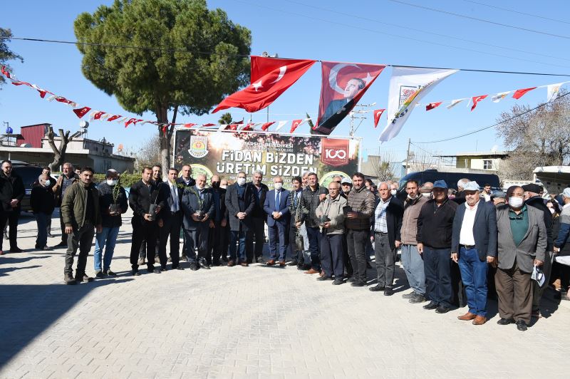 ÇUKUROVA TOPRAKLARINDA ATA VE YERLİ TOHUM FİDANLARI YEŞERİYOR