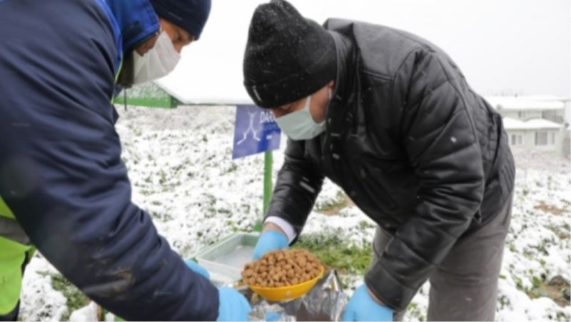 BAŞKAN BIYIK, KARDA SOKAK HAYVANLARINI BESLEDİ