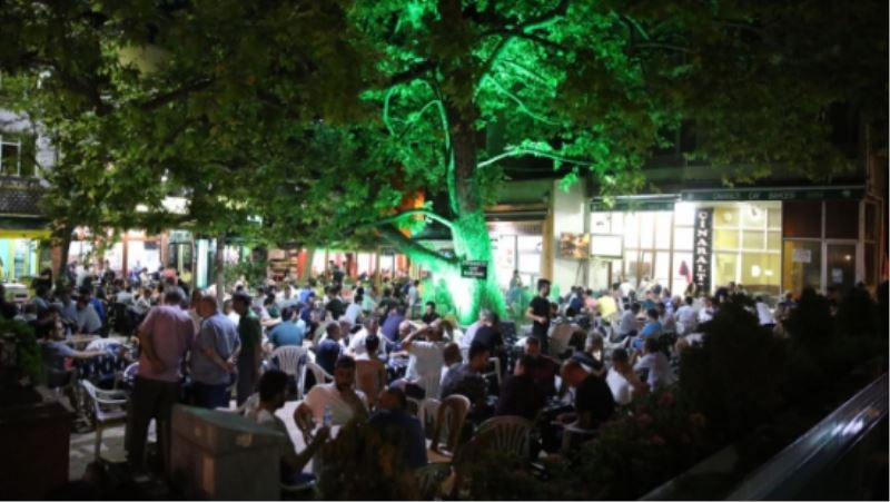 DARICA ÇINARALTI YEŞİLLENDİ