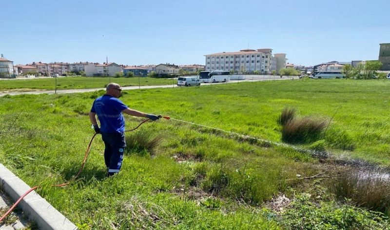 LARVA İLE MÜCADELE ÇALIŞMALARI SÜRÜYOR