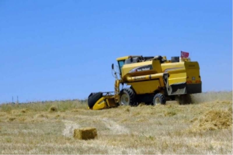 BÜYÜKŞEHİR’İN TARLALARINDA İLK HASAT YAPILDI