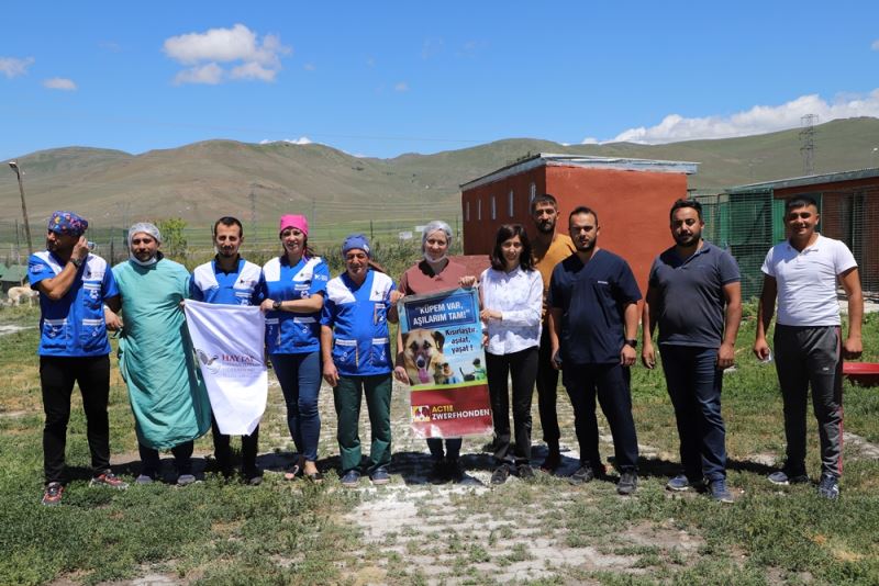 ARDAHAN BELEDİYESİ VE HAYTAP’TAN SOKAK HAYVANLARINA ORTAK ÇALIŞMA