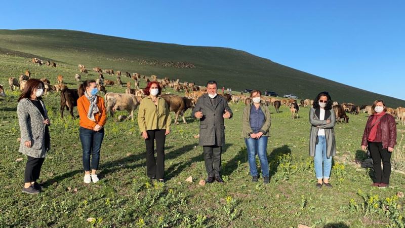 KADIN KOOPERATİFİ İLK ADIMI ATTI! ARDAHAN’DAN İZMİR’E ET SEVKİYATI BAŞLADI