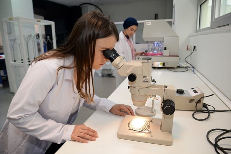 Çalışma ve Sosyal Güvenlik Bakanlığından Gençlere Müjde:Staj Portalı