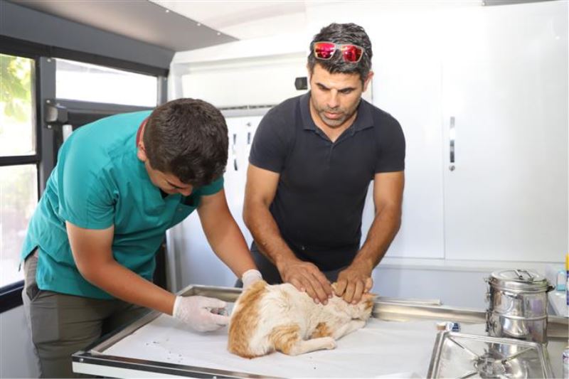 ALANYA BELEDİYESİ KIRSALDAKİ HAYVANLARIN BAKIM VE KONTROLLERİNİ EKSİKSİZ YAPIYOR
