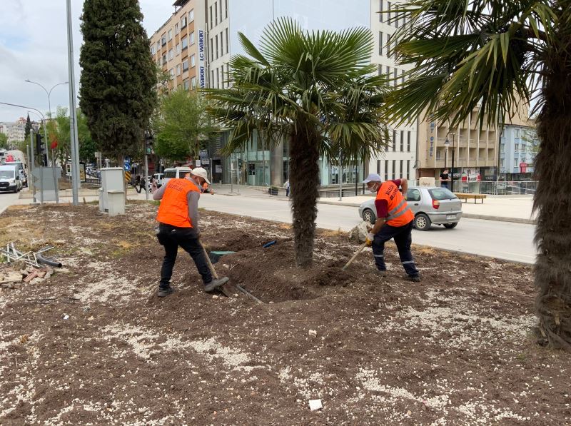 ORTA REFÜJLERDE AĞAÇLANDIRMA ÇALIŞMALARI BAŞLADI
