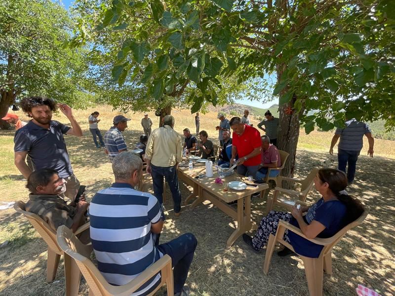 Mazgirt’in Ataçınar Küyü’nde Karakılçık Hasadı