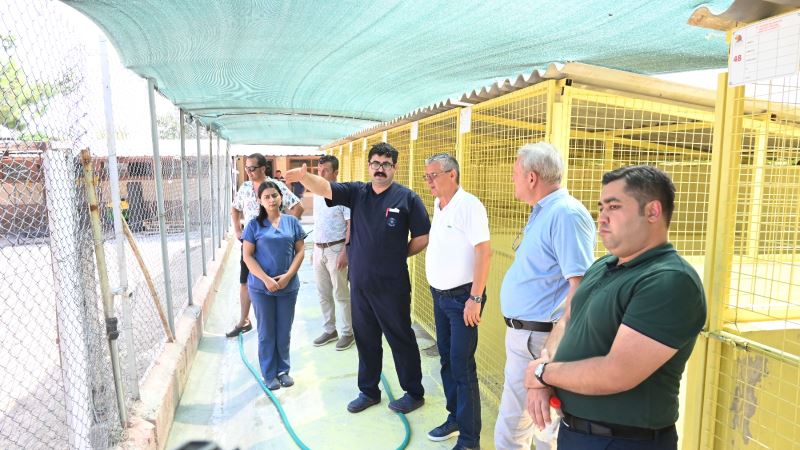 KEMER BELEDİYE BAŞKANI TOPALOĞLU: “TÜM CANLILARI KORUMAYA DEVAM EDECEĞİZ.”