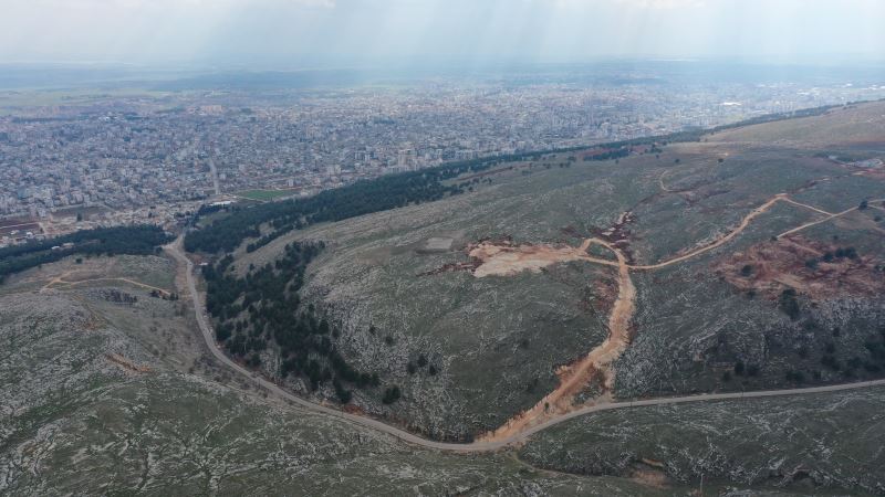 BİR PROJEDE SOKAKTAKİ DOSTLARIMIZ İÇİN…