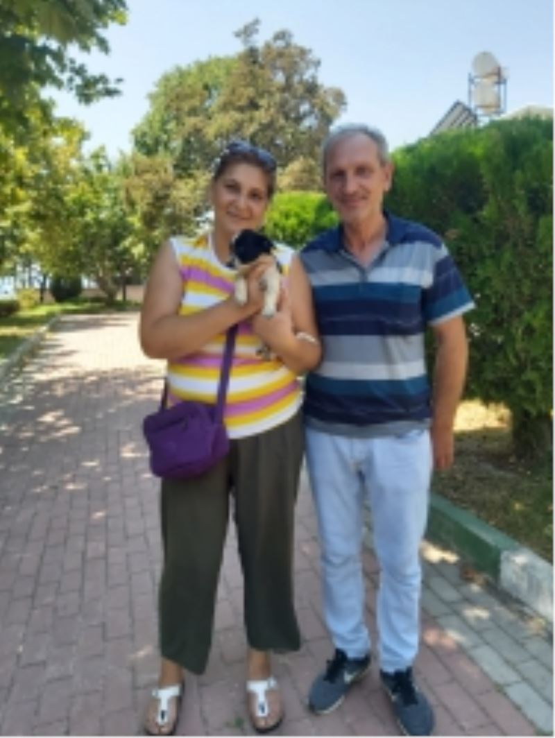 3 Can Dosta Sıcak Yuva