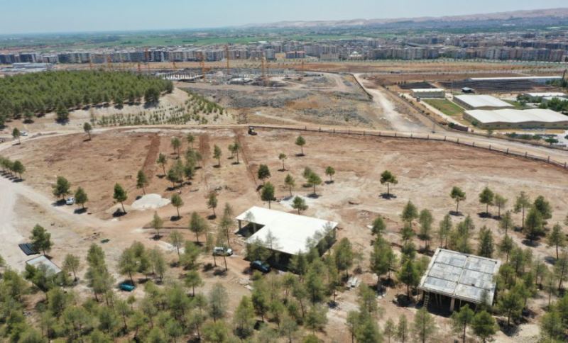 Şanlıurfa Büyükşehir Belediyesinden Kır Düğünü Konsepti
