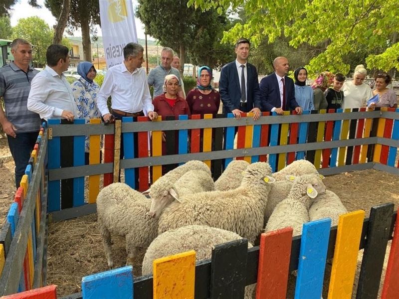 Tarlada Sıfır Atık 10 Kuzu Kazandırdı