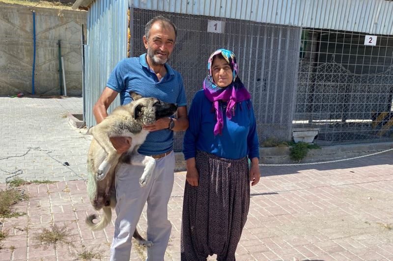 TEDAVİSİ TAMAMLANAN KÖPEK SAHİPLENDİRİLDİ