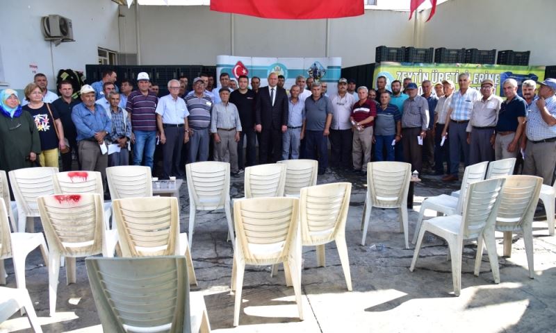 Büyükşehir, Gölmarmaralı Zeytincileri Mutlu Etti