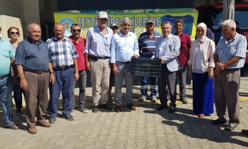 Ahmetlili Zeytin Üreticilerine Zeytin Kasası Desteği