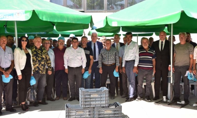 Büyükşehir Üreticilere 72 Bin Zeytin Kasası Dağıttı