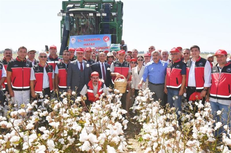 BAKAN  KİRİŞCİ, HATAY