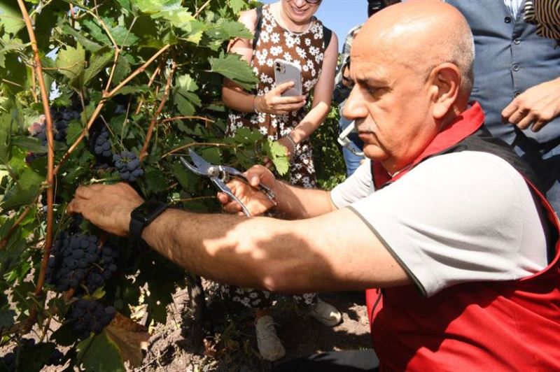 TARIM VE ORMAN BAKANI KİRİŞCİ KALECİK KARASI ÜZÜM FESTİVALİ