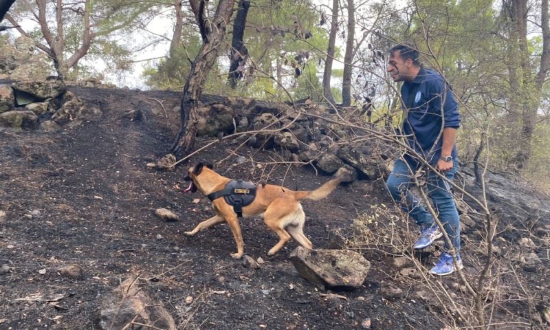 Akıllı Dostumuz ‘Tarzan’ Yangınların Çıkış Sebebini Tespit Edecek
