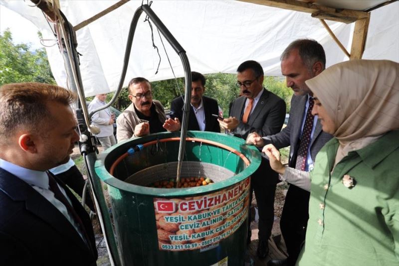 İnegöl’de Ceviz Hasadı Başladı