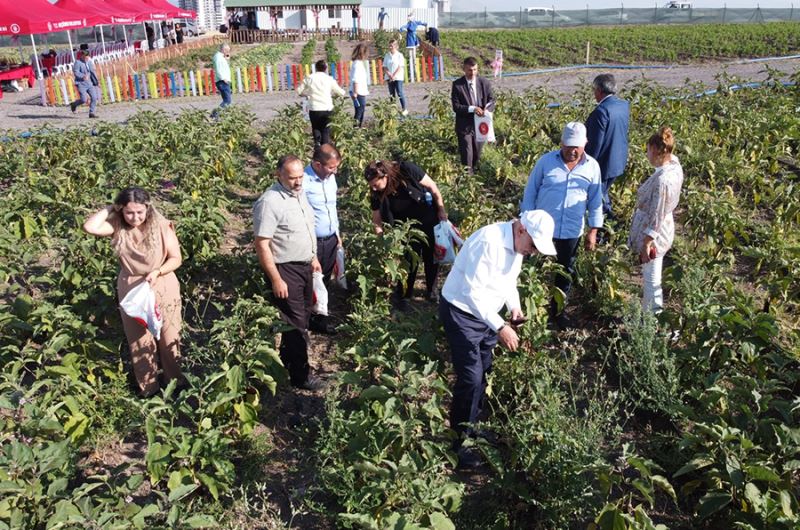 Muhtarlardan bostan ziyareti