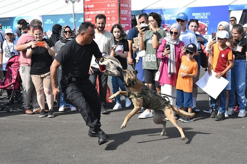 Jandarmada Görevli Saldırı Köpeği 
