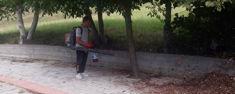 Ekiplerimiz   ağaçlarda budama  yaprakları  temizleme çalışması yapıyor