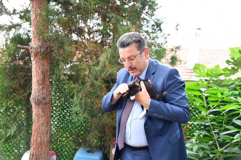 Başkan Genç’ten kedi evine ziyaret!