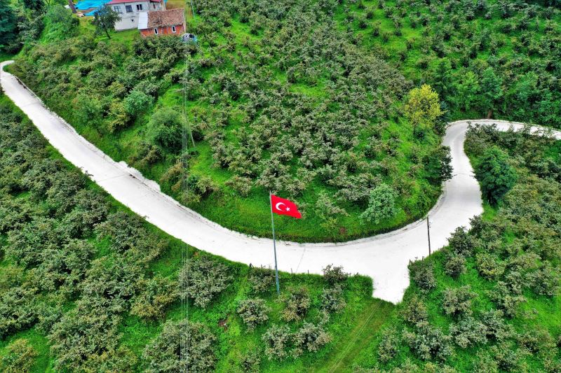 ALTINORDU’DA ULAŞIM SORUNLARI AŞKIN TÖREN FARKI İLE BİR BİR TARİHE KARIŞIYOR