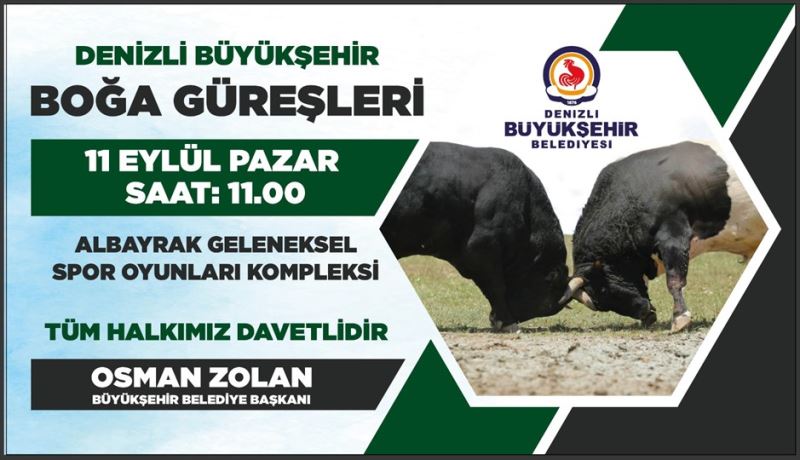 Boğa güreşi heyecanı Denizli’de