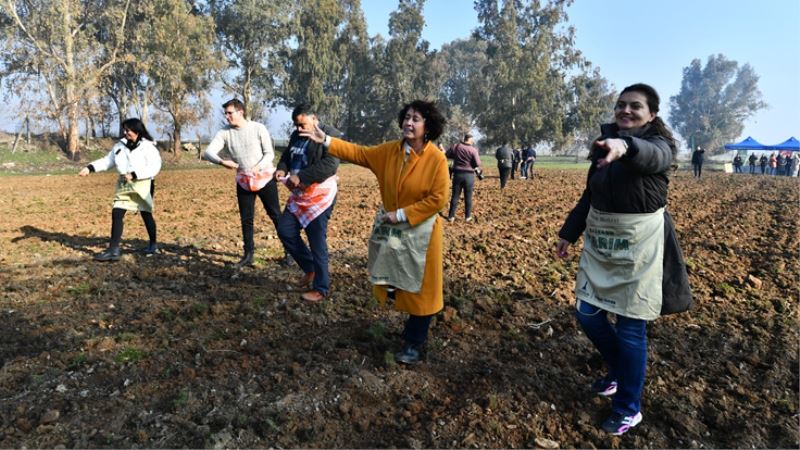 İzmir’de Yaşar Üniversitesi öğrencileri karakılçık ekiminde