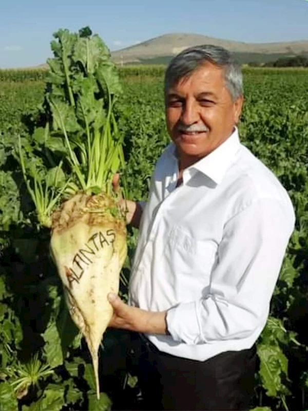 Pancarın Başkenti  Altıntaş...