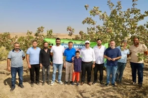 Diyarbakır