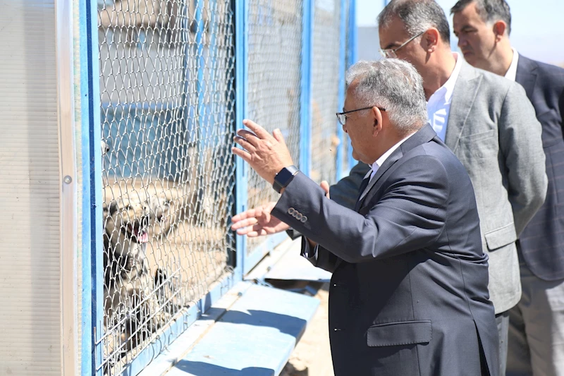 Başkan Büyükkılıç, Yeni ve Modern Kedi Köpek Evi’nde İncelemelerde Bulundu
