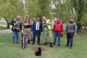Erzincan Belediyesi Sokak Hayvanlarını Unutmuyor