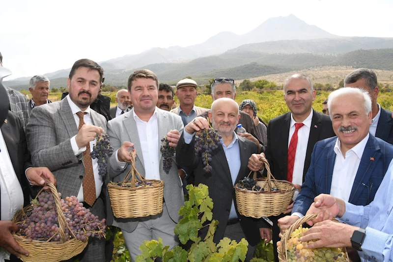 HASANDAĞI ETEKLERİNDE GELENEKSEL 2. BAĞ BOZUMU VE PEKMEZ FESTİVALİ GERÇEKLEŞTİRİLDİ