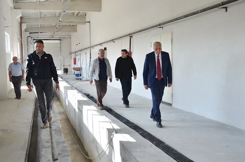 NOSTALJİK TRAMVAYLAR BURADA KORUNACAK