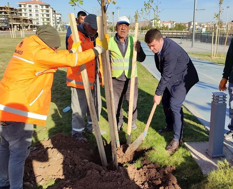 DAHA YEŞİL BİR AKSARAY İÇİN PARK VE BAHÇELERDE SONBAHAR BAKIMI