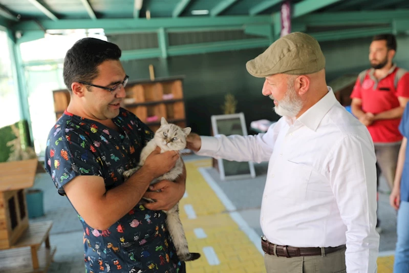KAYSERİ’DE İLK OLAN SEVİMLİ PATİLER İÇİN ‘KÜÇÜK DOSTLAR KEDİ KASABASI’NA YOĞUN İLGİ