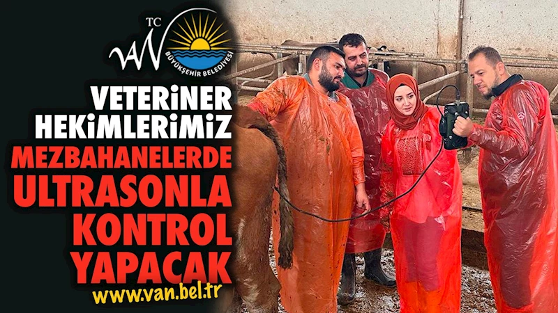 BÜYÜKŞEHİR