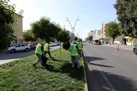 Midyat’ta Temizlik Seferberliği