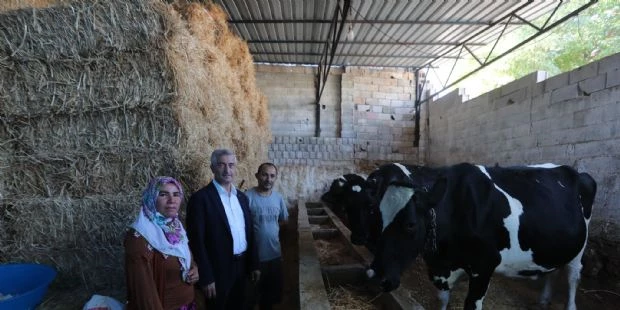Belediyemizin Destekleri İle Hayvancılık Gelişiyor