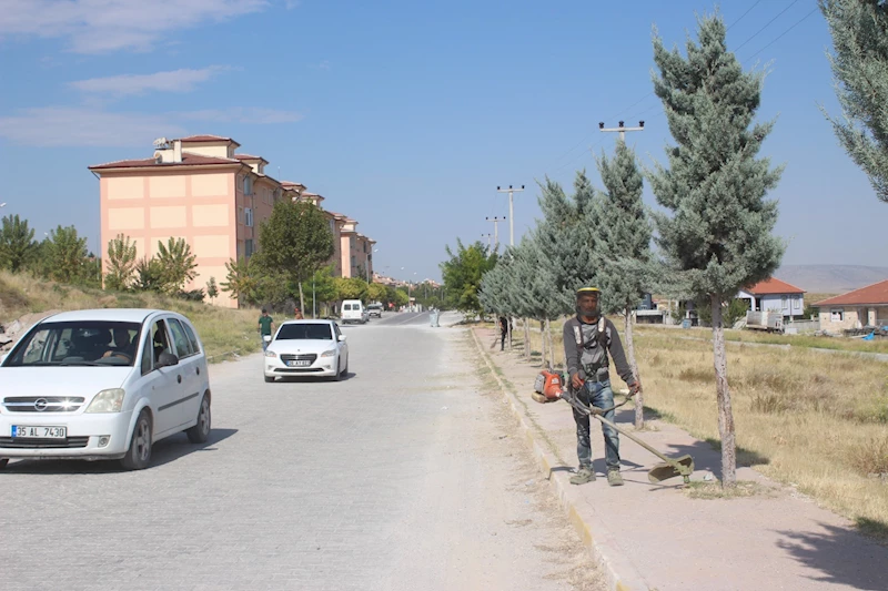 TOKİ bölgesi ot biçimi ve genel çevre temizlik çalışmaları…