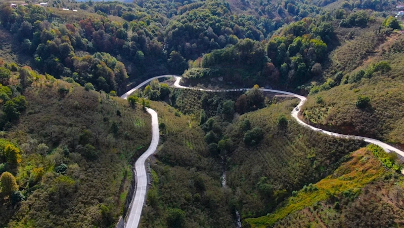 Büyükşehir
